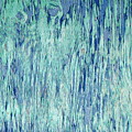 Wood Abstract